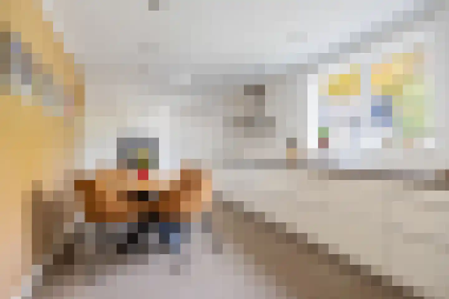 Trompstraat 54 Dongen thumbnail 33