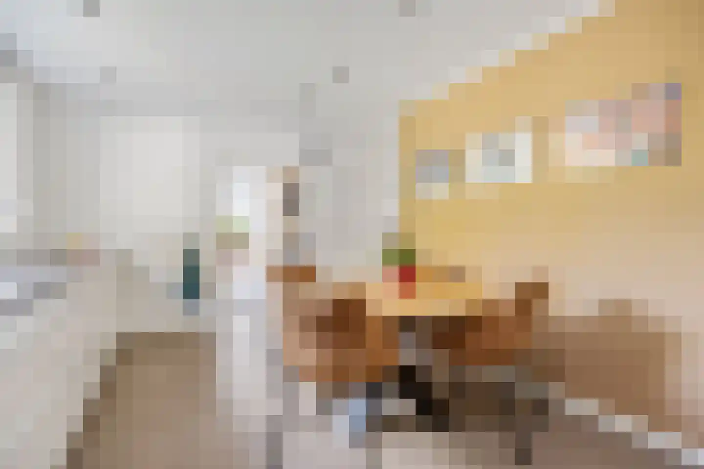 Trompstraat 54 Dongen thumbnail 38