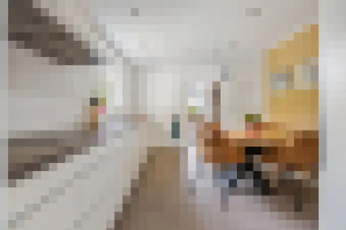 Trompstraat 54 Dongen thumbnail 39