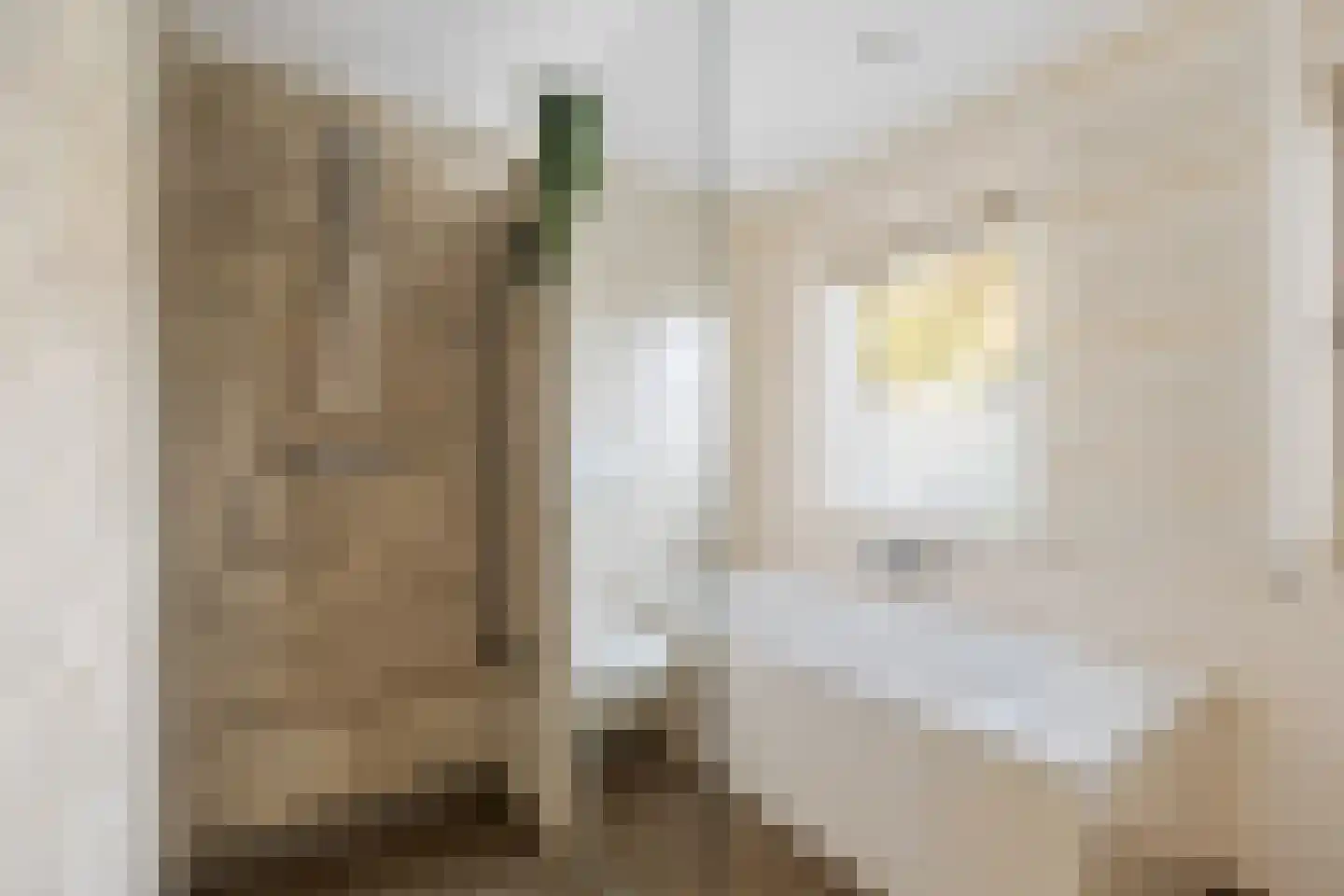 Trompstraat 54 Dongen thumbnail 49