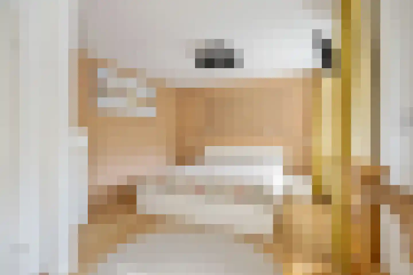 Trompstraat 54 Dongen thumbnail 52