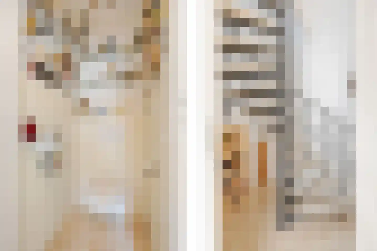 Trompstraat 54 Dongen thumbnail 6