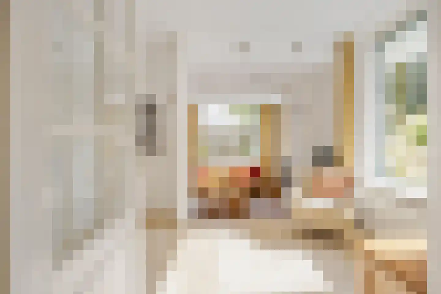 Trompstraat 54 Dongen thumbnail 7