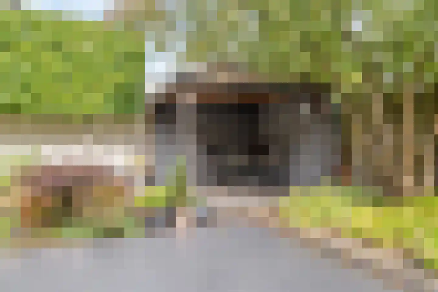 Trompstraat 54 Dongen thumbnail 75