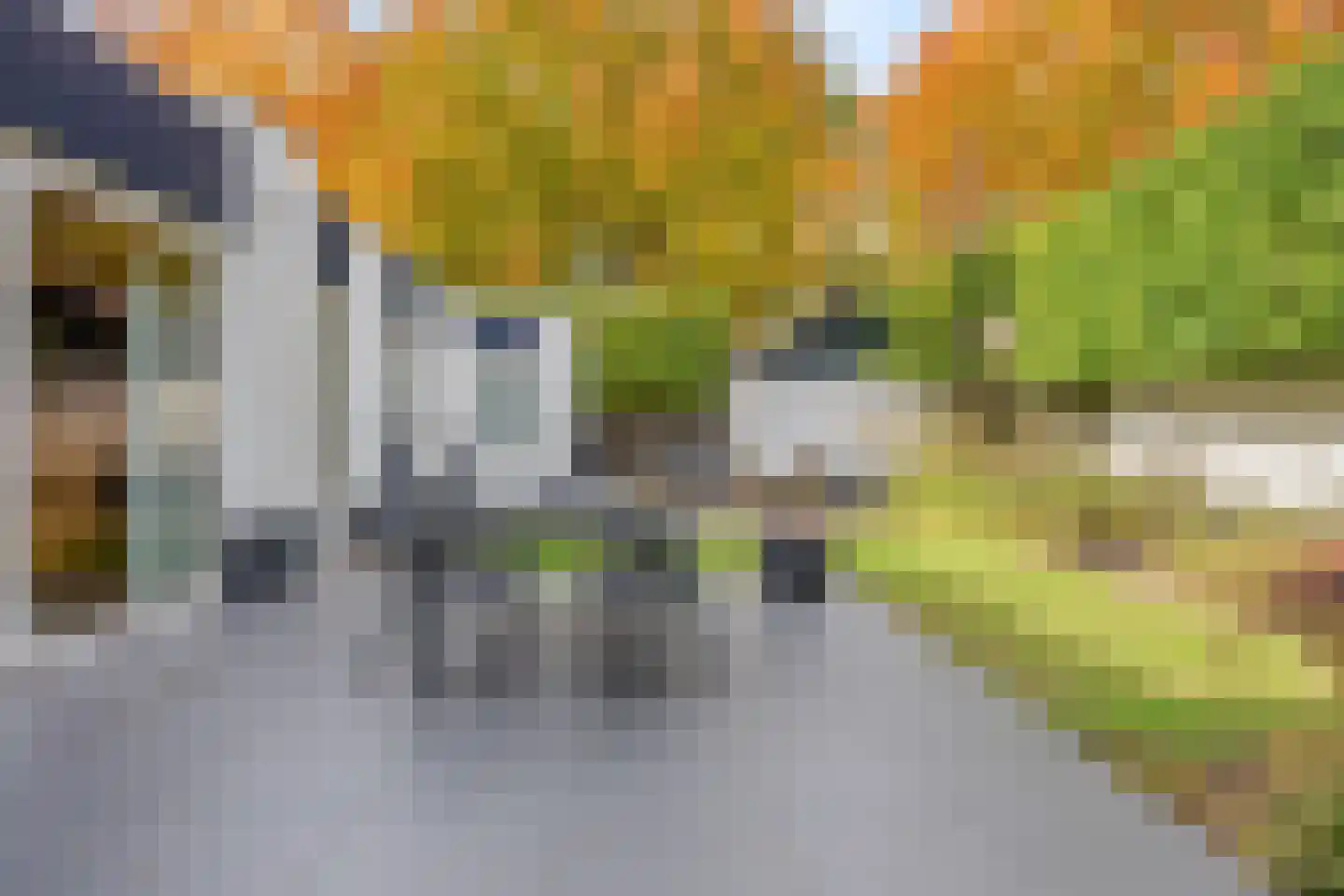 Trompstraat 54 Dongen thumbnail 76