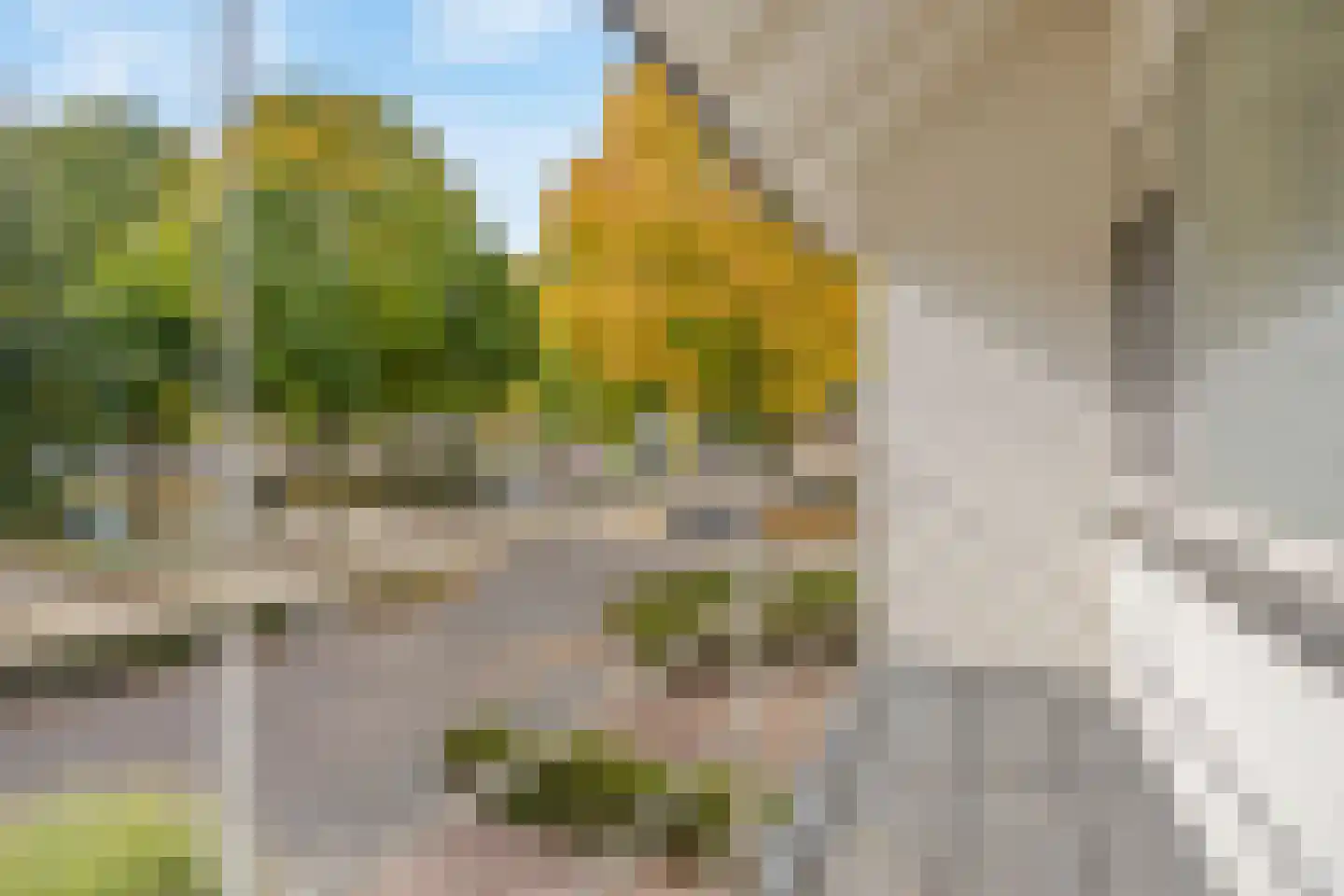 Trompstraat 54 Dongen thumbnail 85