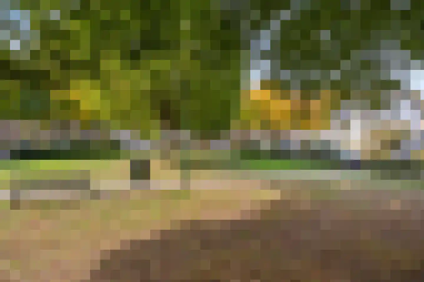 Trompstraat 54 Dongen thumbnail 89