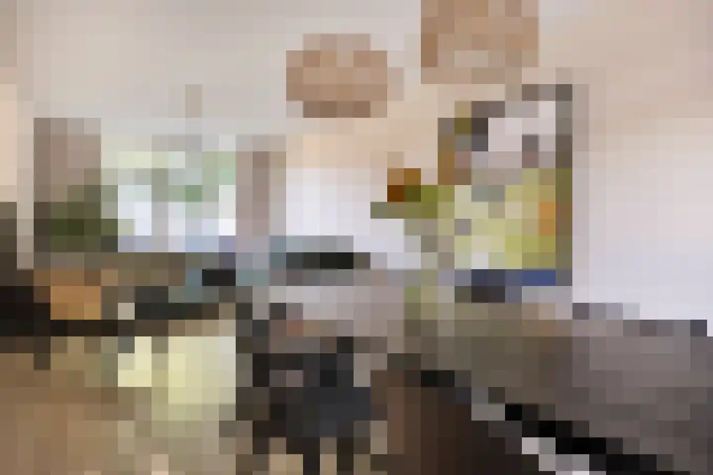 Trompstraat 54 Papendrecht thumbnail 11
