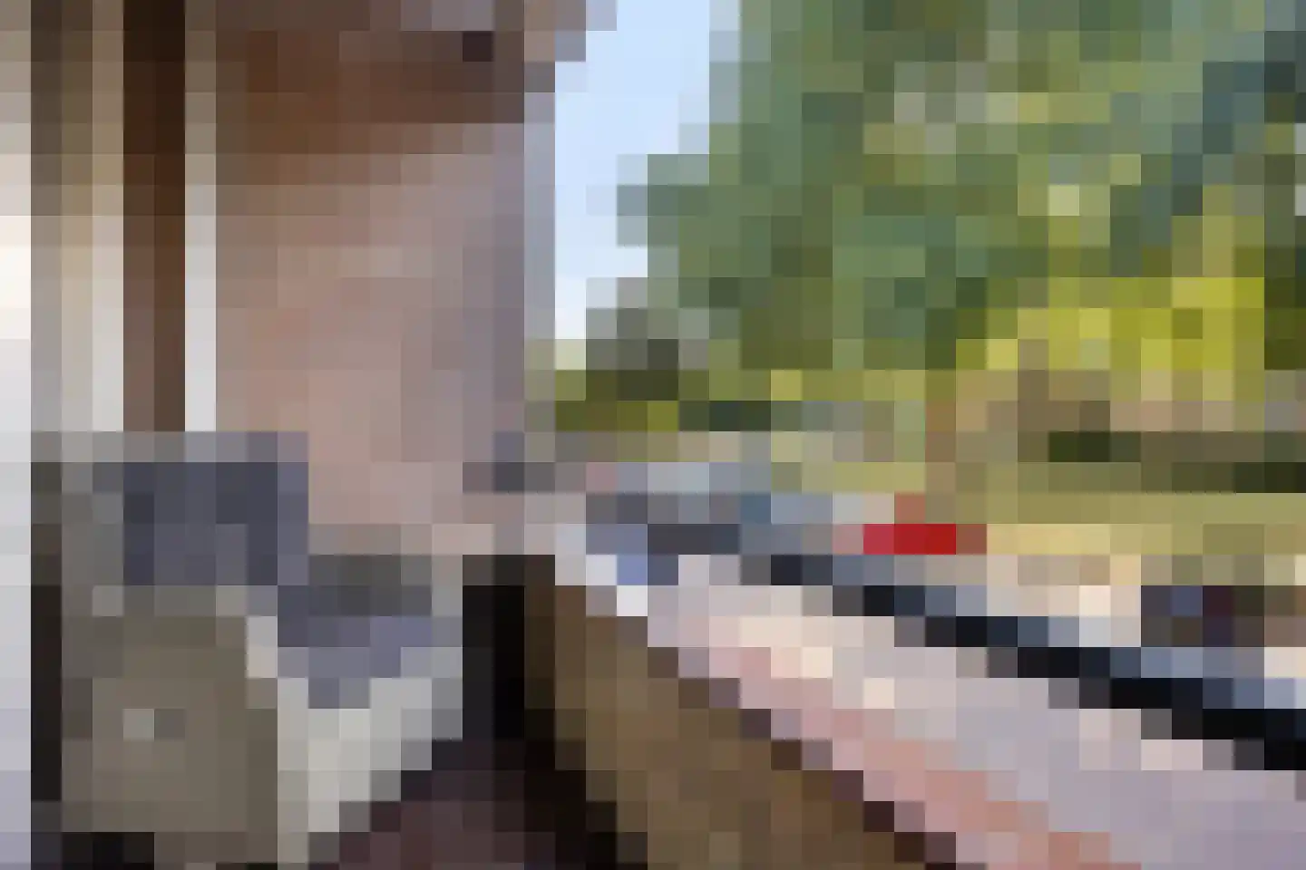 Trompstraat 54 Papendrecht thumbnail 4