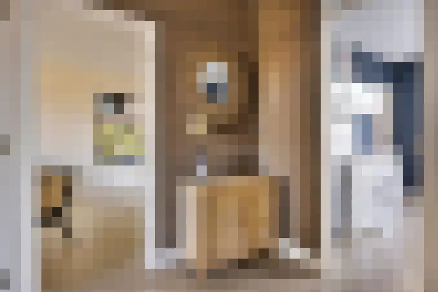 Trompstraat 54 Papendrecht thumbnail 8