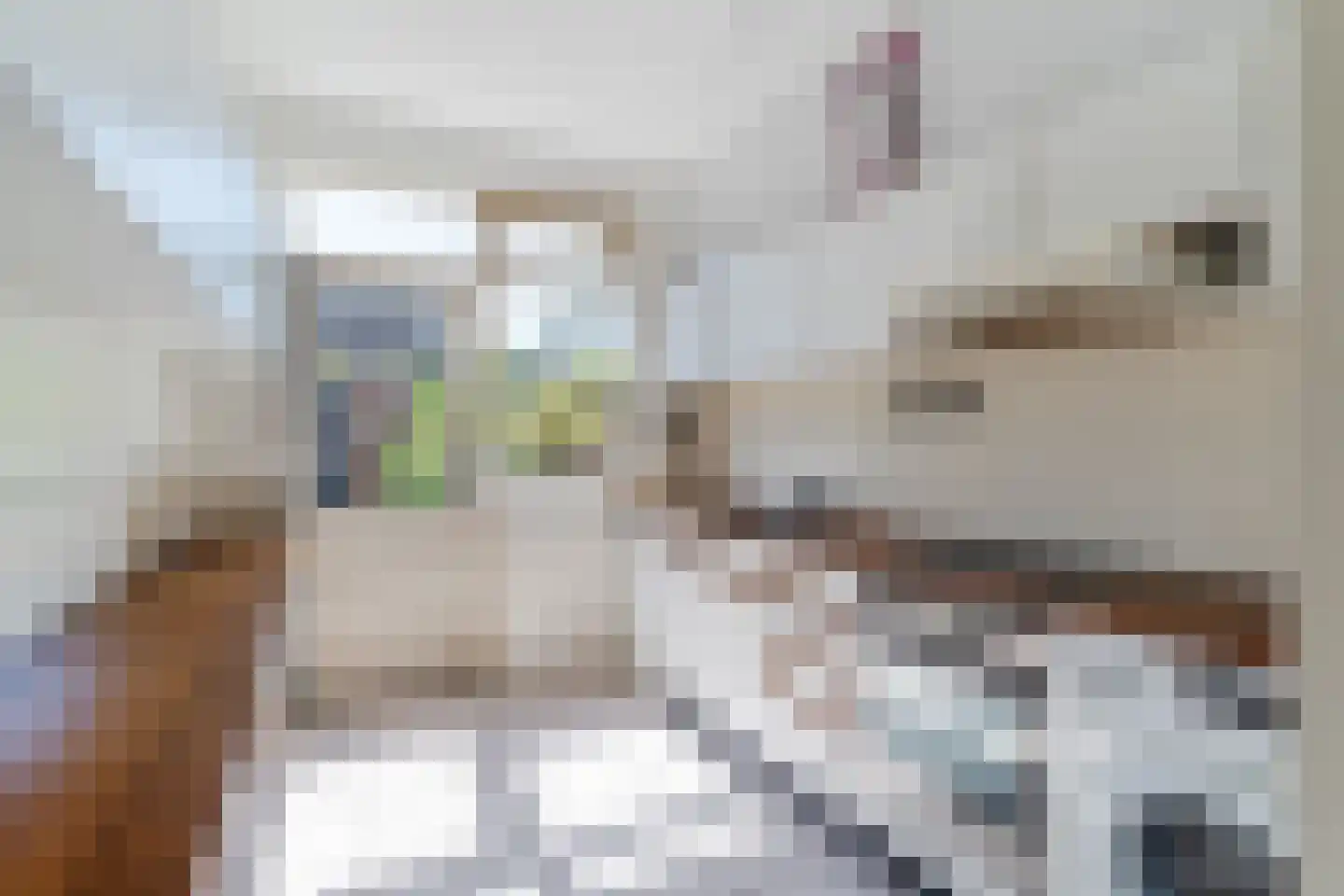 Trompstraat 54 Veghel thumbnail 12