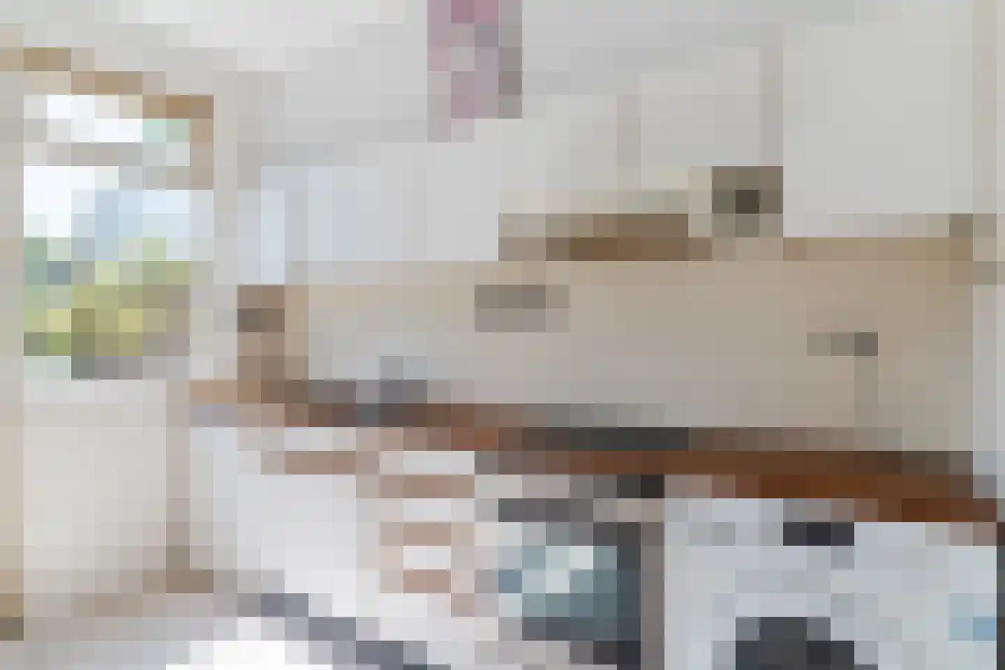 Trompstraat 54 Veghel thumbnail 13