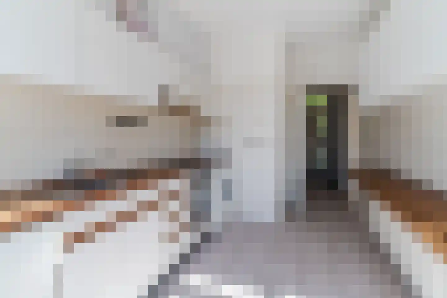 Trompstraat 54 Veghel thumbnail 14