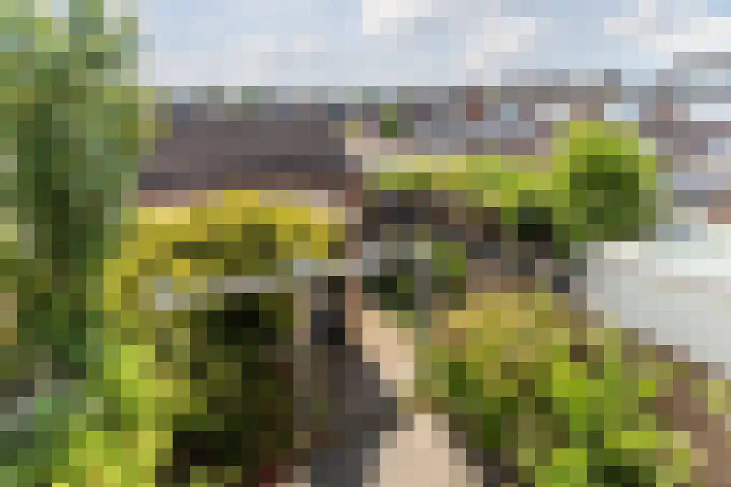 Trompstraat 54 Veghel thumbnail 33