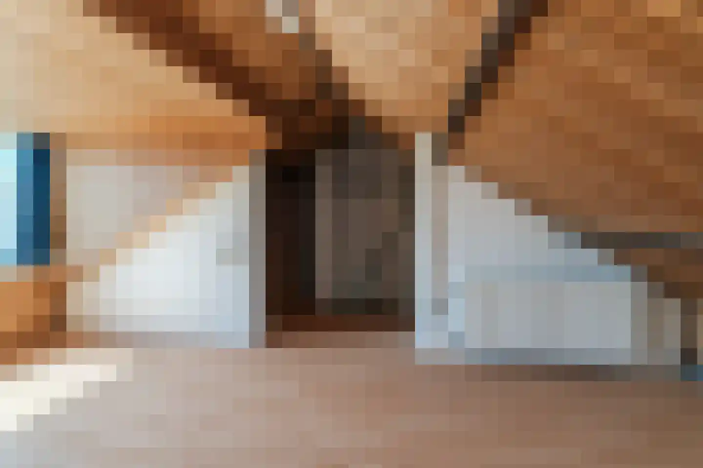Trompstraat 54 Veghel thumbnail 35