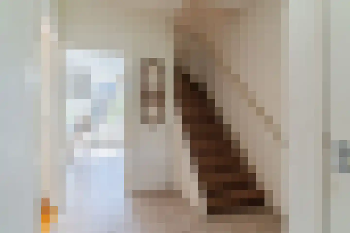 Trompstraat 54 Veghel thumbnail 6