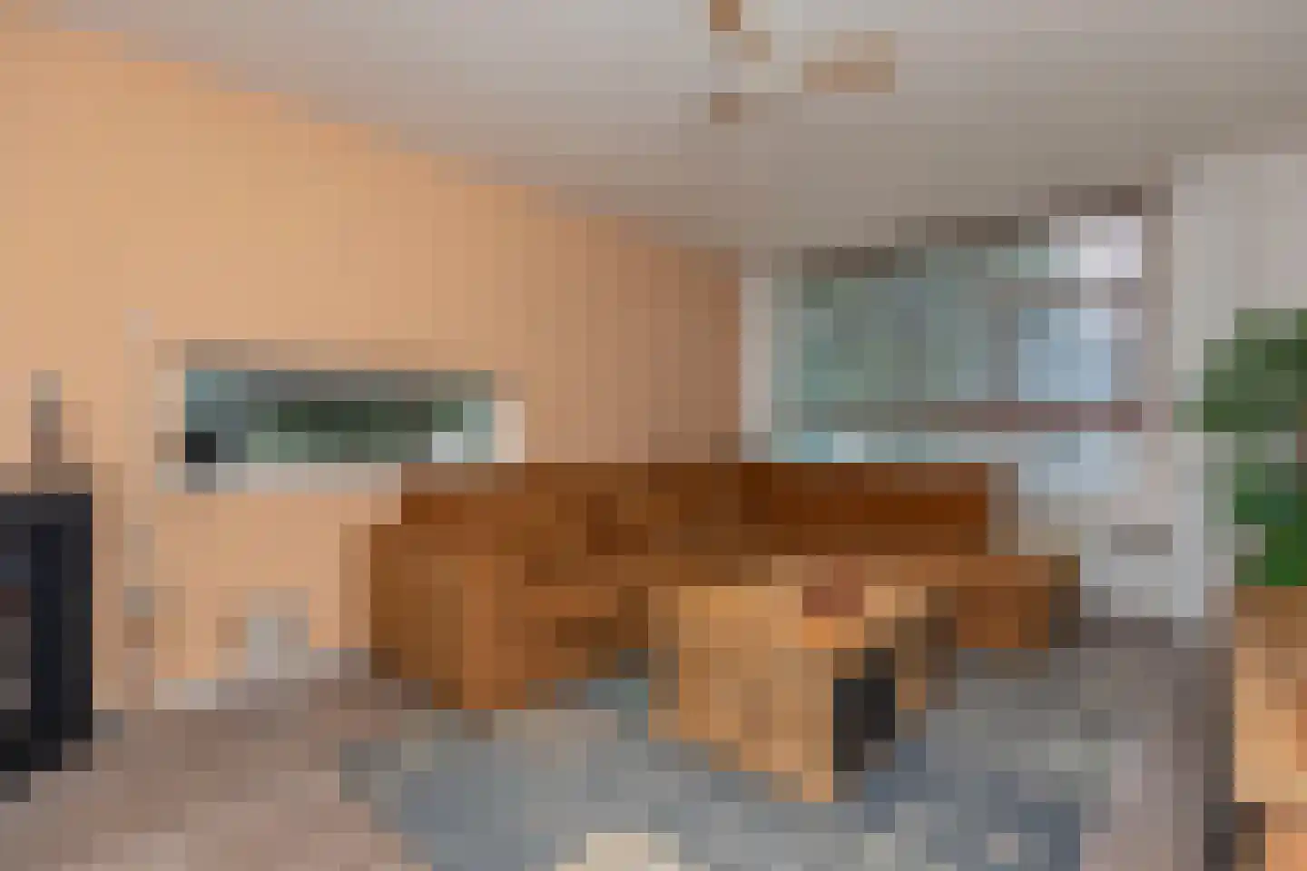 Trompstraat 56 Papendrecht thumbnail 8