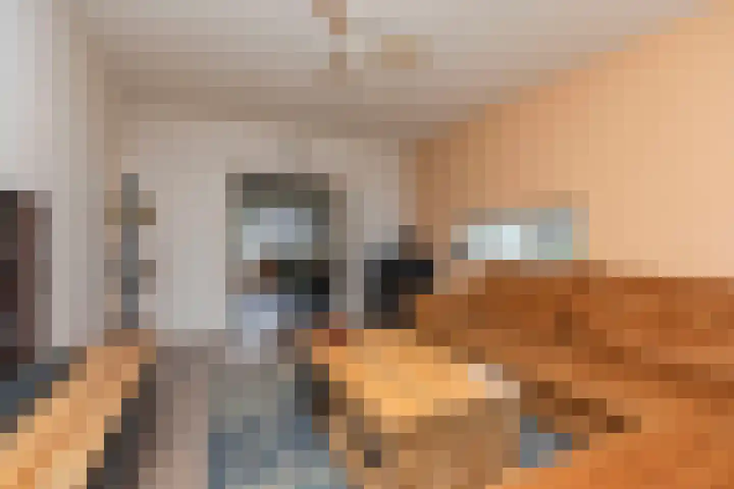 Trompstraat 56 Papendrecht thumbnail 9