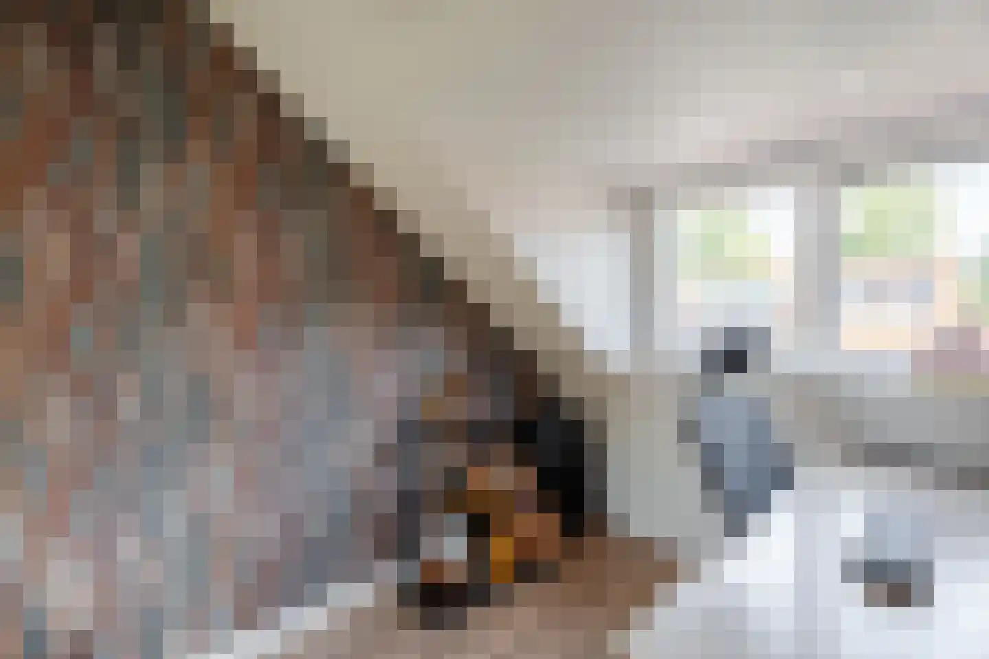Trompstraat 57 Amersfoort thumbnail 33