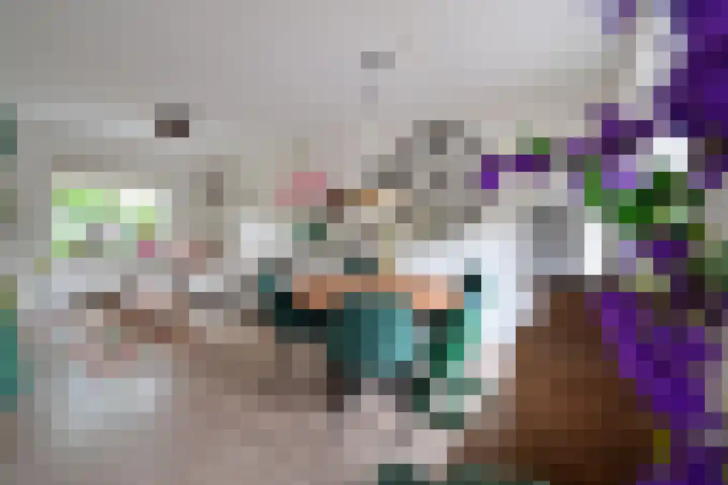 Trompstraat 58 Huizen thumbnail 4