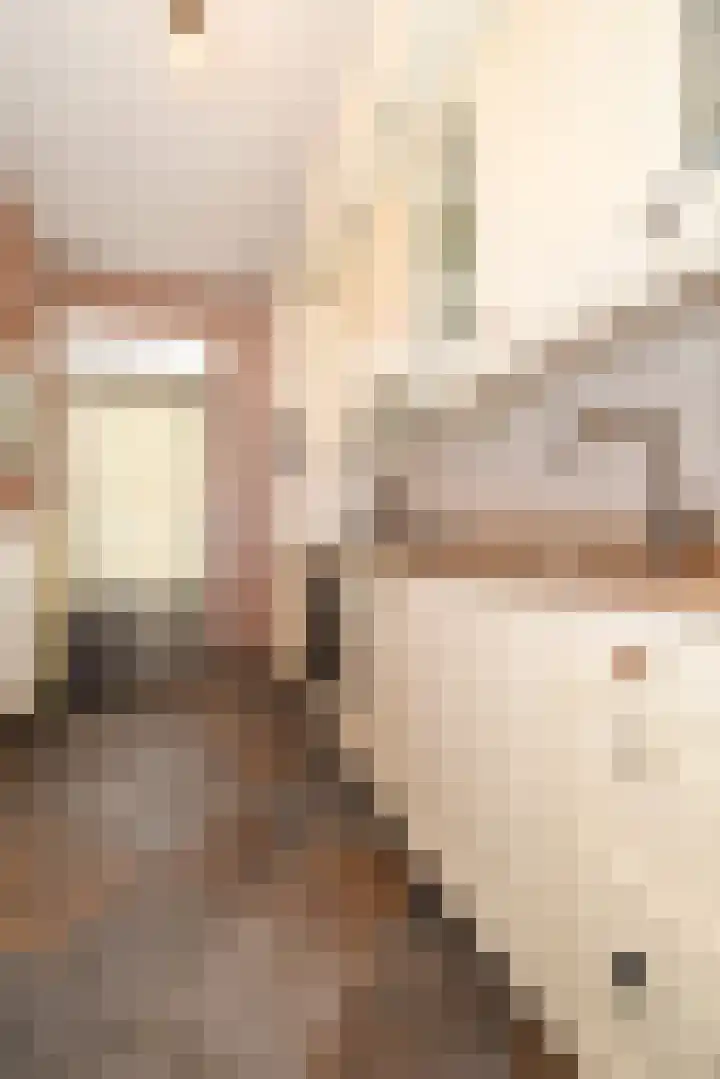 Trompstraat 6 Kloosterzande thumbnail 12