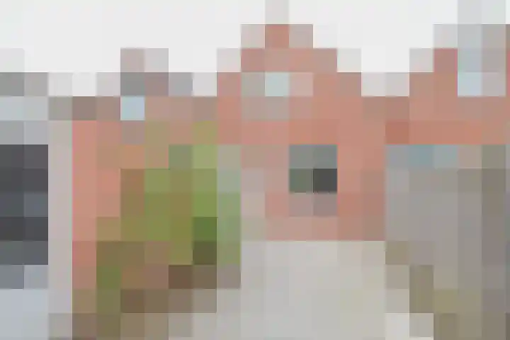 Trompstraat 6 Kloosterzande thumbnail 21