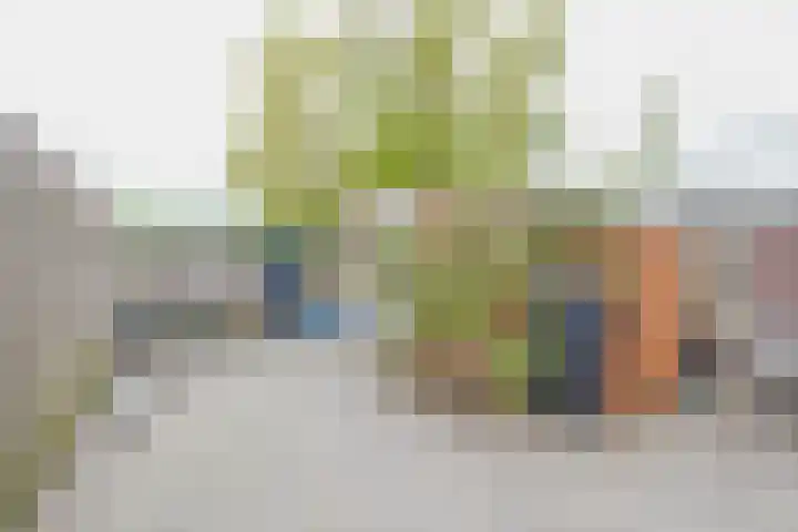 Trompstraat 6 Kloosterzande thumbnail 22