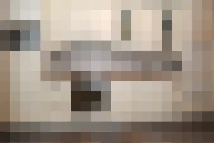 Trompstraat 6 Kloosterzande thumbnail 4