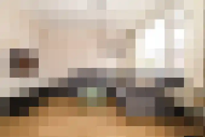 Trompstraat 6 Kloosterzande thumbnail 7