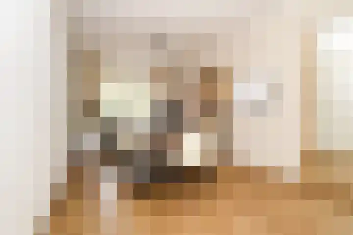 Trompstraat 6 Kloosterzande thumbnail 9