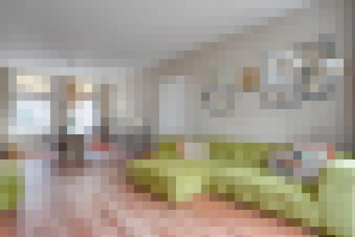 Trompstraat 6 Zwolle thumbnail 19