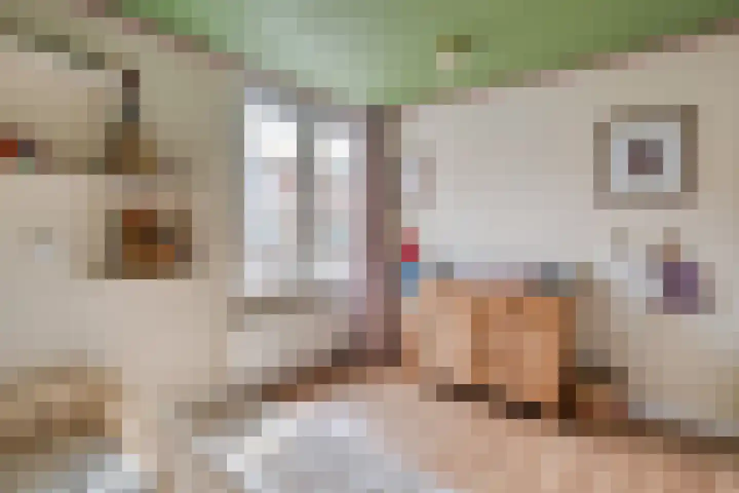 Trompstraat 6 Zwolle thumbnail 31