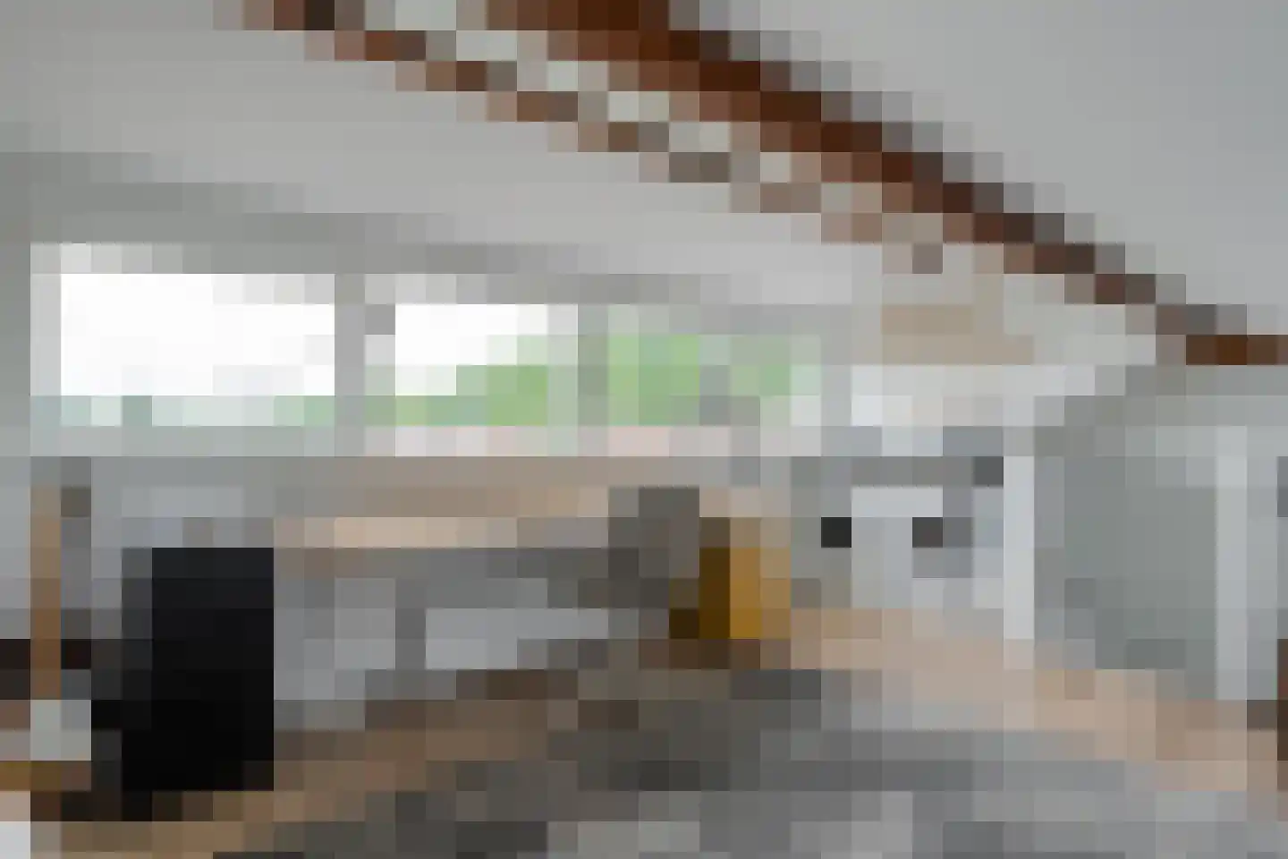 Trompstraat 6 Zwolle thumbnail 36