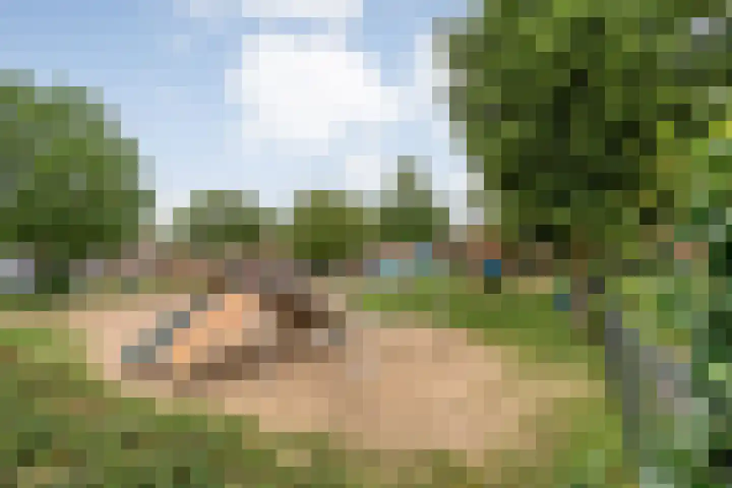 Trompstraat 6 Zwolle thumbnail 43