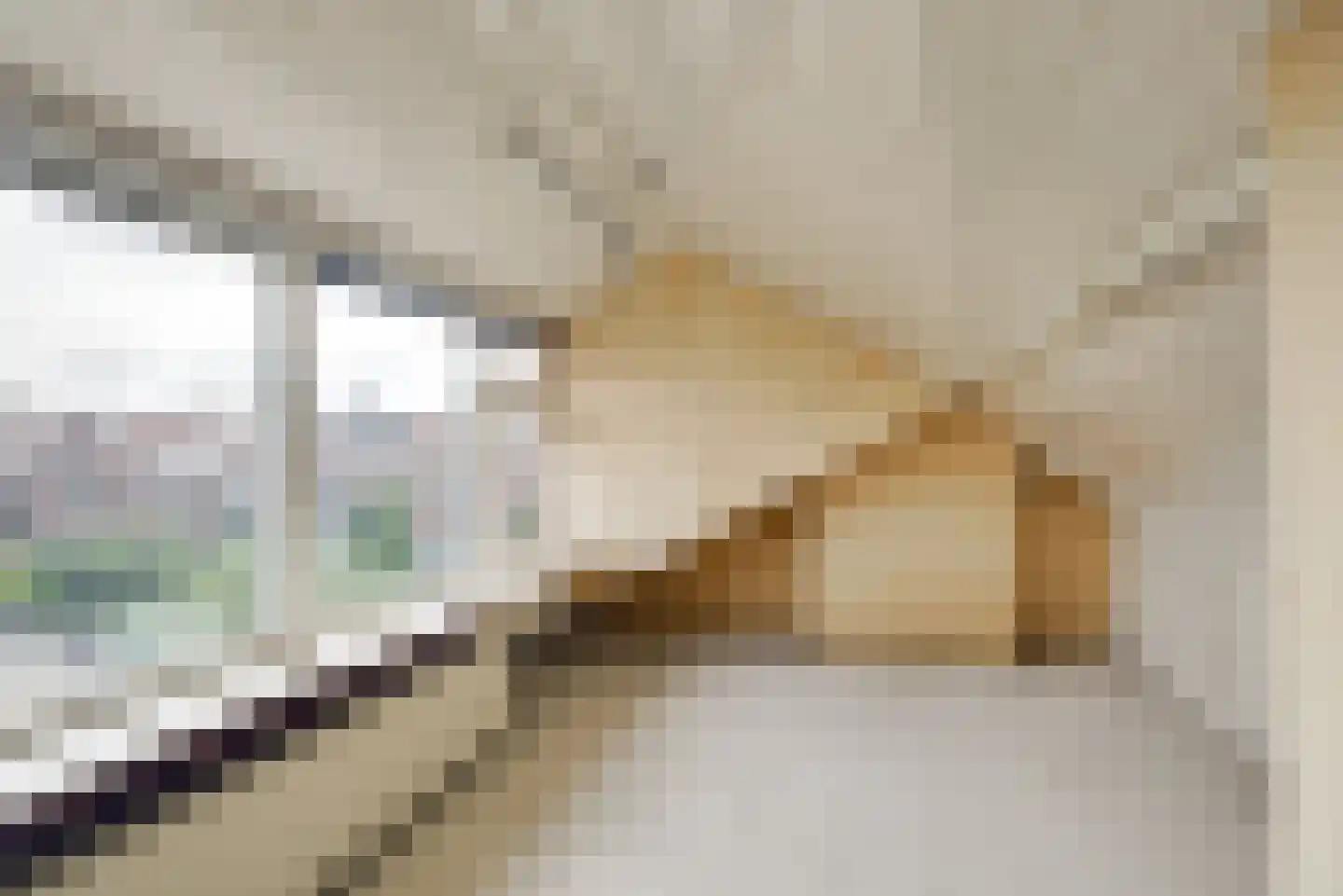 Trompstraat 61 Leidschendam thumbnail 48