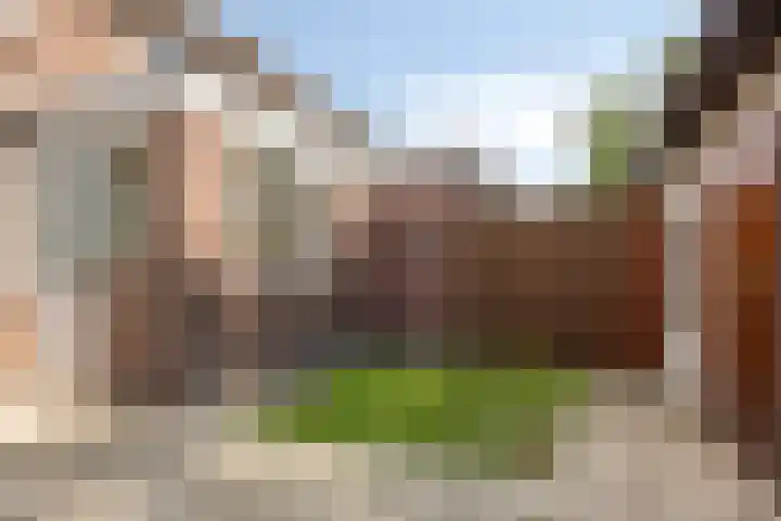 Trompstraat 63 Alkmaar thumbnail 28