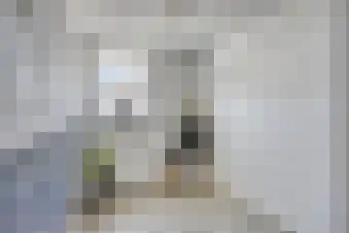 Trompstraat 67 Drunen thumbnail 26