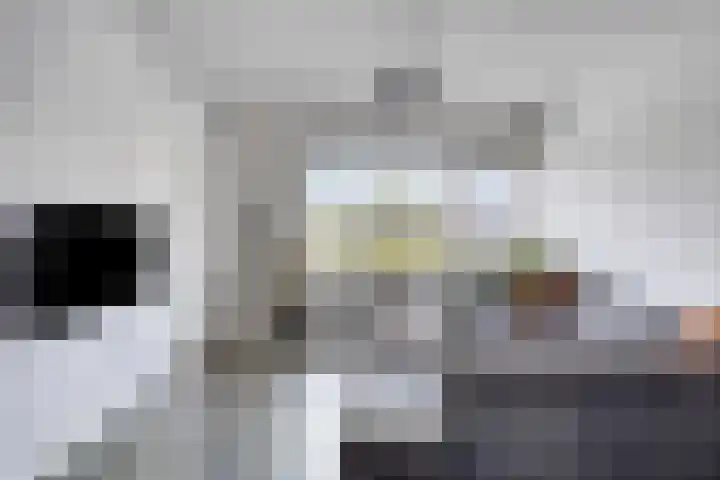 Trompstraat 67 Drunen thumbnail 5