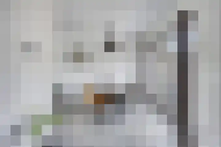 Trompstraat 67 Drunen thumbnail 8