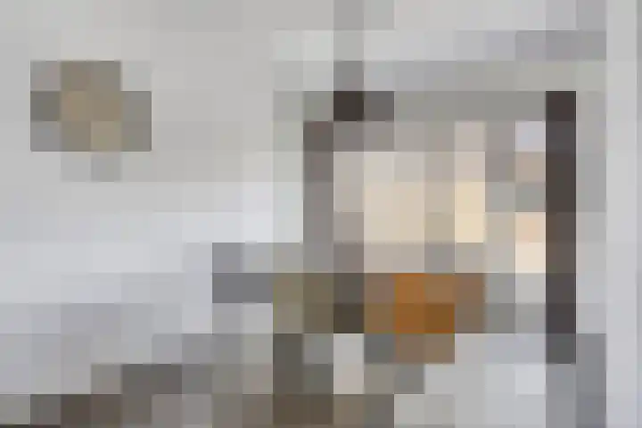 Trompstraat 67 Drunen thumbnail 9