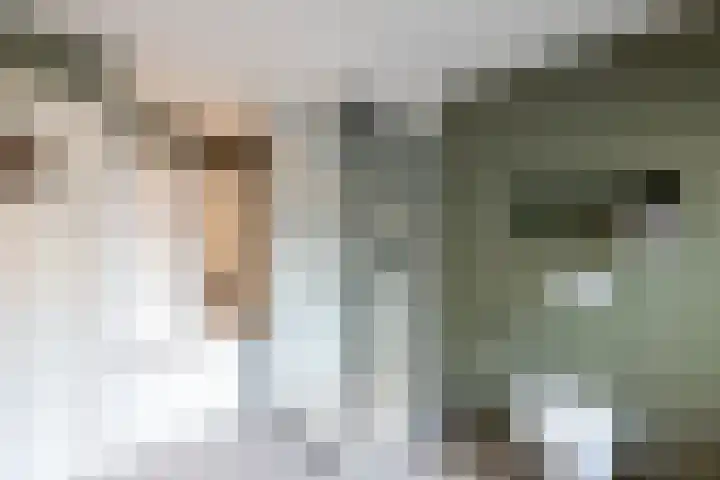 Trompstraat 68 Papendrecht thumbnail 21