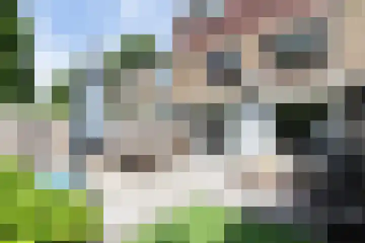 Trompstraat 68 Papendrecht thumbnail 28