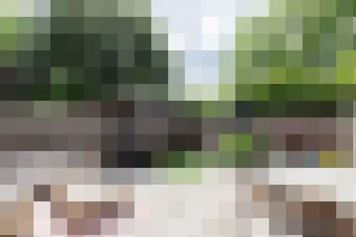 Trompstraat 68 Papendrecht thumbnail 4