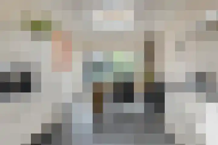 Trompstraat 7 A Aalten thumbnail 10