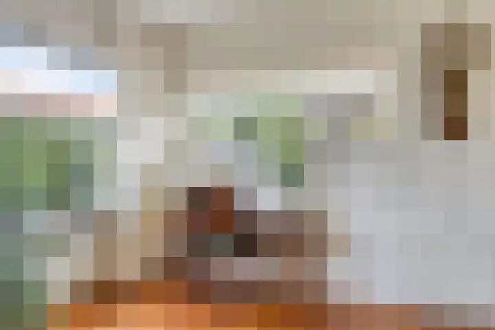 Trompstraat 7 A Aalten thumbnail 17