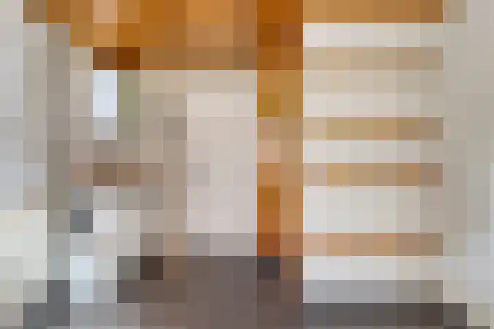Trompstraat 7 A Aalten thumbnail 20