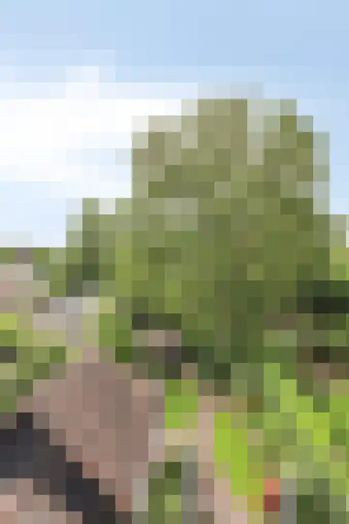 Trompstraat 7 A Aalten thumbnail 34