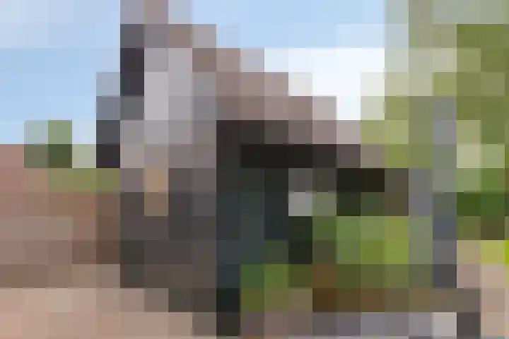 Trompstraat 7 A Aalten thumbnail 35
