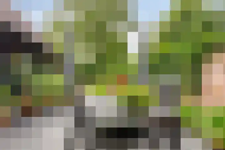 Trompstraat 7 A Aalten thumbnail 36