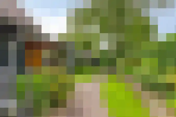 Trompstraat 7 A Aalten thumbnail 37
